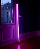 Bild von HAY Neonröhre LED L: 150 cm - Rosa