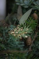 Bild von Rosendahl Karen Blixens Weihnachts-Eisblume H: 7 cm – vergoldet