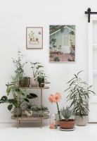 Bild von ViSSEVASSE Plakat Growing Plants 15x21 cm OUTLET