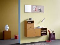 Bild von Montana Mini 1005 Modul mit 1 Schublade 35x35 cm - 151 Rhabarber