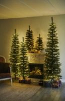 Bild von Sirius Alvin Weihnachtsbaum mit 273 Lichtern, H: 210 cm – Warmweiß