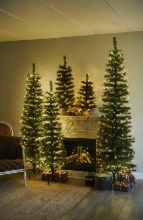 Bild von Sirius Alvin Weihnachtsbaum mit 273 Lichtern, H: 210 cm – Warmweiß