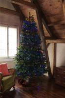 Bild von Sirius Knirke Weihnachtsbaumlichterkette H: 1,8 m - Mehrfarbig OUTLET