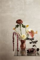 Bild von Holmegaard Calabasas Vase H: 21 cm - Burgund
