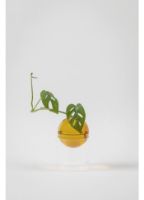 Bild von Studio About Standing Flower Bubble Hohe Röhre H: 13 cm – Bernstein OUTLET