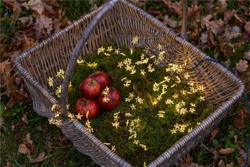 Sirius Trill Lichterkette mit 125 LED-Lichtern – Grün
