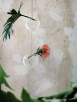 Bild von Studio About Hängende Blumenblase Klein Ø: 8 cm - Transparent OUTLET