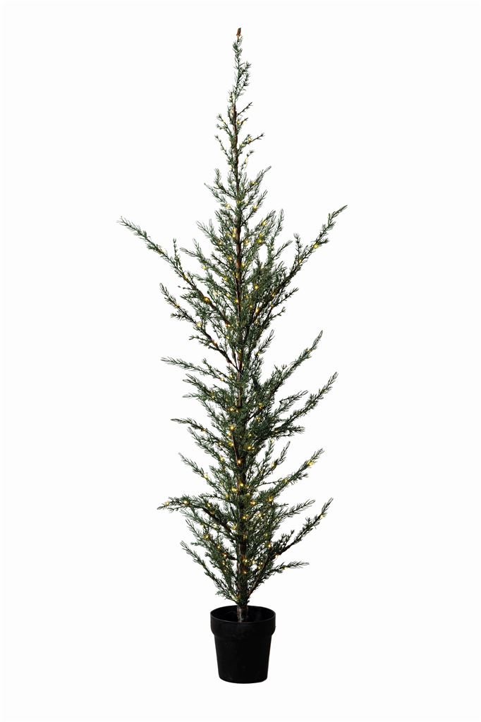 Bild von Sirius Milas Cedar Tree 180 LED-Licht H: 190 cm - Grün