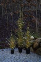 Bild von Sirius Milas Cedar Tree 150 LED-Licht H: 130 cm - Grün