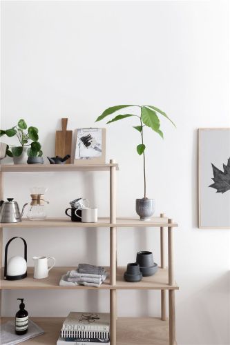 Woud Elevate Regalsystem 11 – Eiche