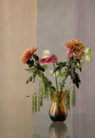 Bild von Holmegaard Calabas Duo Vase H: 21 cm – Burgundy/Amber