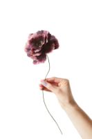 Bild von Studio About Paper Flower Small – Pfingstrose/Aubergine OUTLET