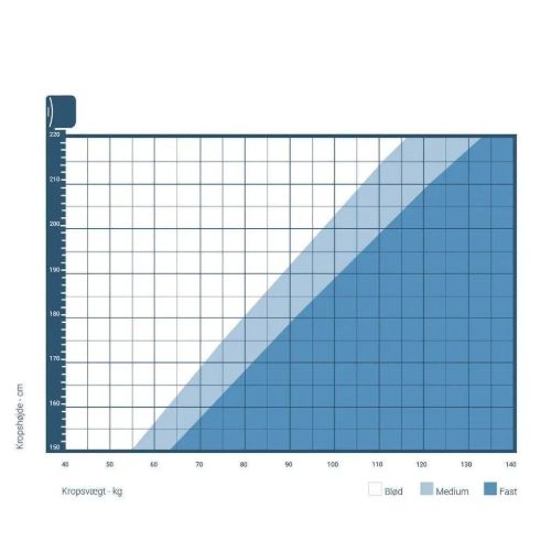 Auping Elite I Federkernmatratze Feste 90x200 cm - Weiß/Anthrazit