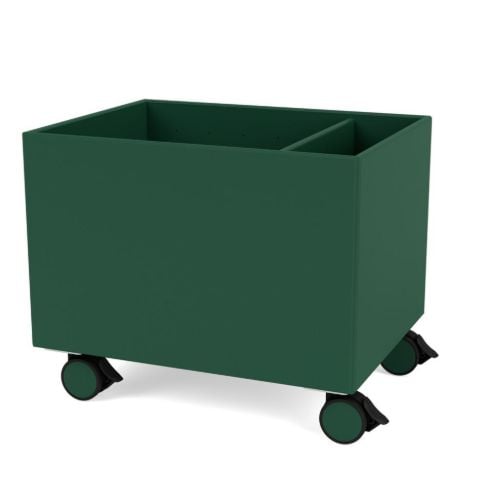 Montana QS Colour Box II S4162 m. Hjul 46,8x37,8x35,4 cm - 136 Pine