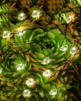Bild von Sirius Maggie Lichterkette mit 40 Lichtern – Grün