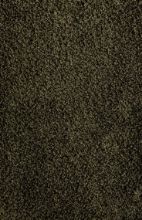 Bild von Fraster Cashmere 2527 Teppich 165 x 235 cm – Seegras