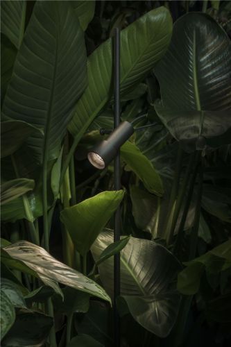 Lampefeber Palosanto B 90 Außenwandleuchte H: 90 cm - Schwarz