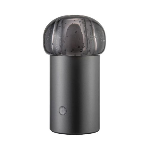 Blomus IRIS Mobile Outdoor LED Lamp H: 18 cm - Gun Metal