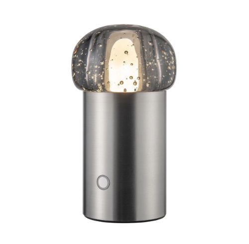 Blomus IRIS Mobile Outdoor-LED-Lampe H: 18 cm – Metallic-Finish