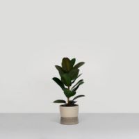 Bild von Ro Collection Two Tone Planter Floor Small Ø: 26 cm – Dune Grey