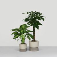 Bild von Ro Collection Two Tone Planter Floor Small Ø: 26 cm – Dune Grey