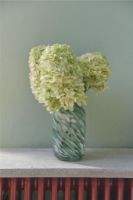 Bild von HAY Splash Vase klein H: 20,5 cm – Rollkragen/grüner Wirbel