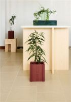 Bild von Squarely Copenhagen BloomON 25x30 cm - Terrakotta-Rot