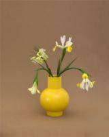 Bild von raawii Strøm Kleine Vase H: 16 cm – Freesie