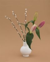 Bild von raawii Strøm Kleine Vase H: 16 cm – Vaporous Grey