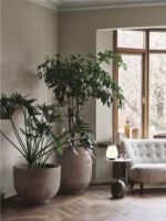 Bild von &Tradition Little Petra VB2 Sofa L: 150 cm – Walnuss geölt/Karakorum 003