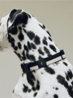 Bild von HAY Hundehalsband Flach M/L: 65 cm - Schwarz/Weiß