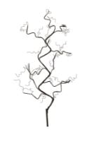 Bild von Sirius Rasmine Gren L: 90 cm