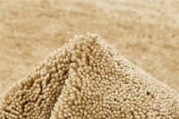 Bild von Rezas Polar Teppich 200x300 cm - Beige