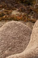 Bild von Vipp 469 Lodge Lounge-Sessel, niedrig, Höhe: 77 cm – Dunkelbraunes Eichenholz/Schafsleder, lockiges Umbra