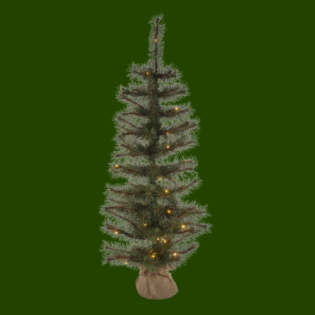 Bild für Kategorie Weihnachtsbäume