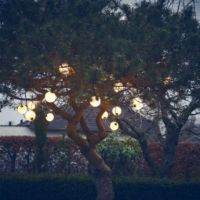 Bild von LOOM Design MISS Girlande 100 L: 5914 cm - Schwarz/Weiß