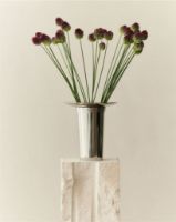 Bild von Louise Roe Brunnenvase Nr. 01 H: 30 cm - Polierter Edelstahl
