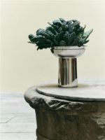 Bild von Louise Roe Brunnenvase Nr. 02 H: 30 cm - Polierter Edelstahl