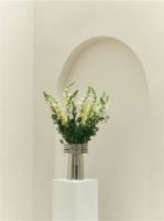 Bild von Louise Roe Brunnenvase Nr. 03 H: 30 cm - Polierter Edelstahl