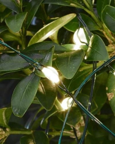 Sirius Knirke 20m lyskæde 200 LED lys grøn ledning - Udendørs