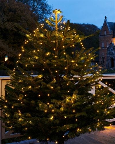 Sirius Knirke Weihnachtsbaum-Lichterkette H: 1,8 m – Warmweiß OUTLET