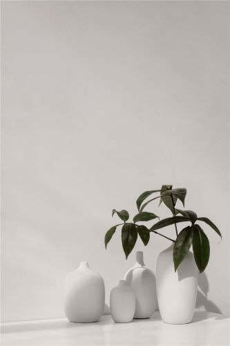 Blomus Ceola Vase H: 13 cm - Weiß
