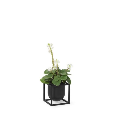 Audo Copenhagen Kubus Flowerpot 10 10x10 cm - Sortiert