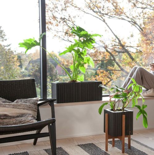 Squarely Copenhagen GrowWIDE 60x22 cm - Esche schwarz