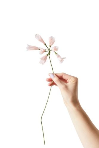 Studio About Paper Flower Small - African Lily/Rose OUTLET