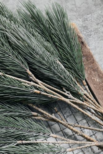 House Doctor Gren Kiefer H: 97 cm - Natur OUTLET